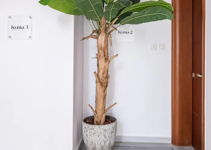 Appartement Cozy Central Stay - 3 Min Walk To Beach & Town - I